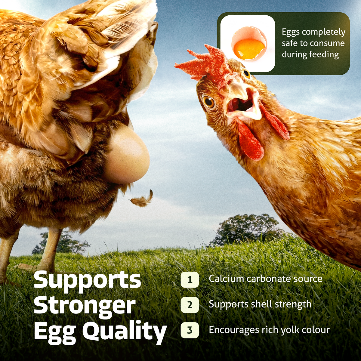 Nestcare Daily Worm Defense + Gut Support