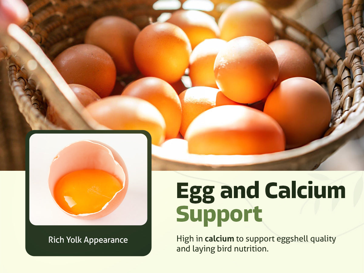 Nestcare Daily Worm Defense + Gut Support